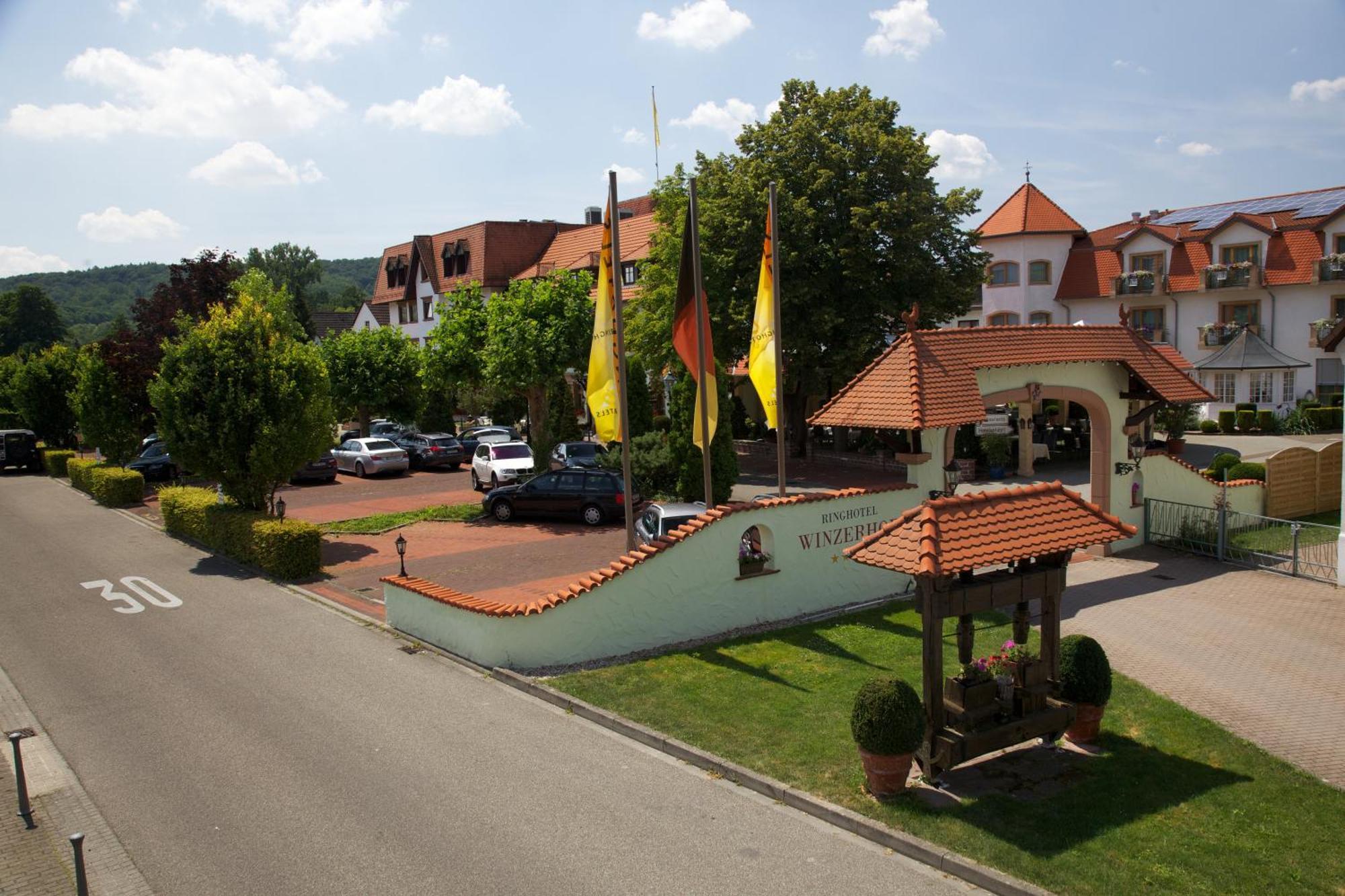 Ringhotel Winzerhof Rauenberg (Baden-Wurttemberg) Exterior foto